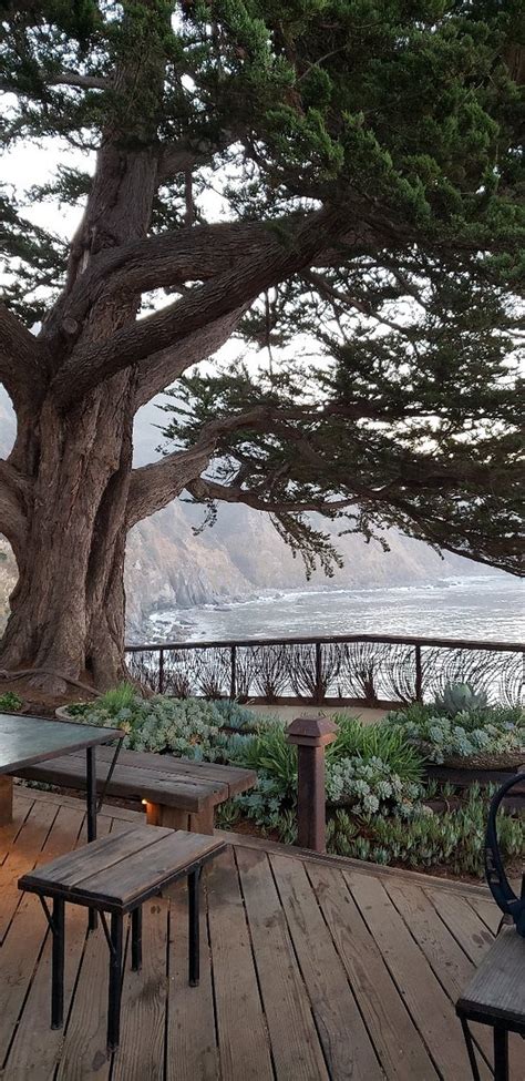 Review of Esalen Institute, Big Sur, CA 